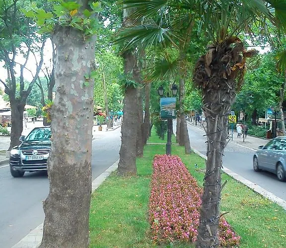 Bonne Chance Szozopol