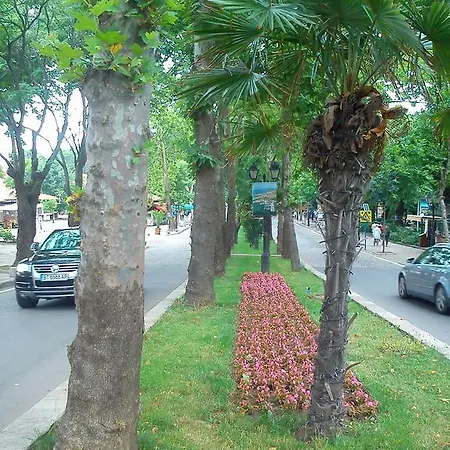 Bonne Chance ソゾポル